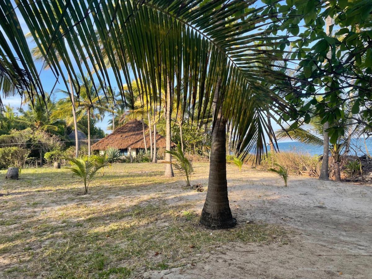 Embedodo Beach House, Ushongo Beach, Pangani Ushongo Mabaoni Eksteriør bilde