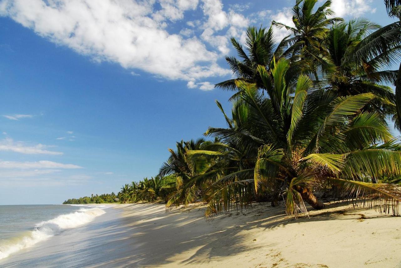 Embedodo Beach House, Ushongo Beach, Pangani Ushongo Mabaoni Eksteriør bilde