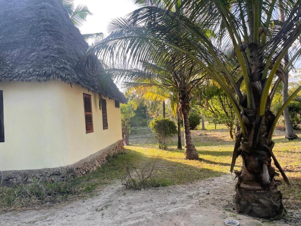 Embedodo Beach House, Ushongo Beach, Pangani Ushongo Mabaoni Eksteriør bilde